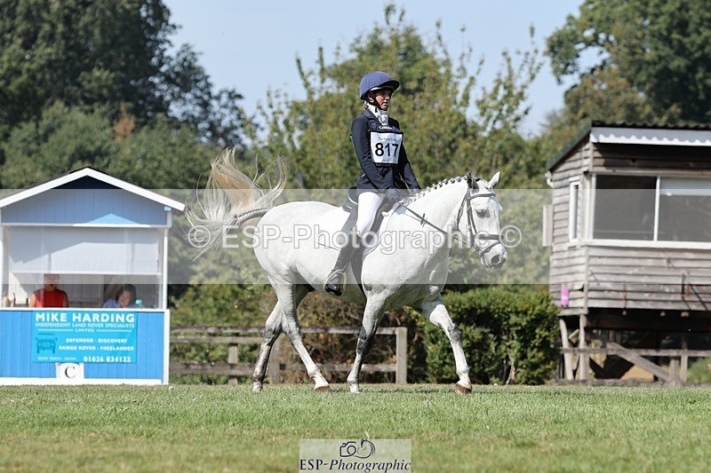 250823A-115607-29341 - Arena D