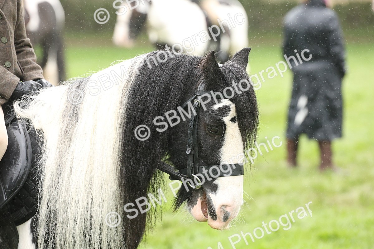 SBM_72815 - S70 - Traditional Cob Ridden