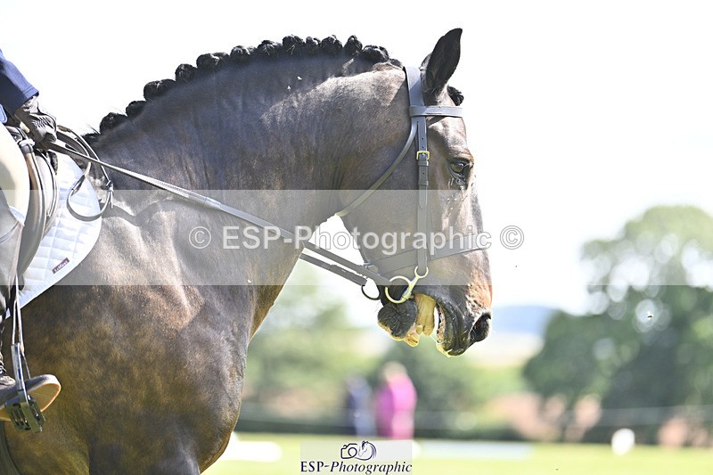 240824X-114134-25983 - D80 Section E and F 11.00 to 12.00