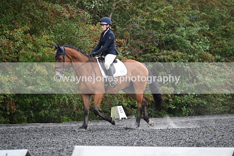 WJ7_3373 - Time 09:54 to 10:54