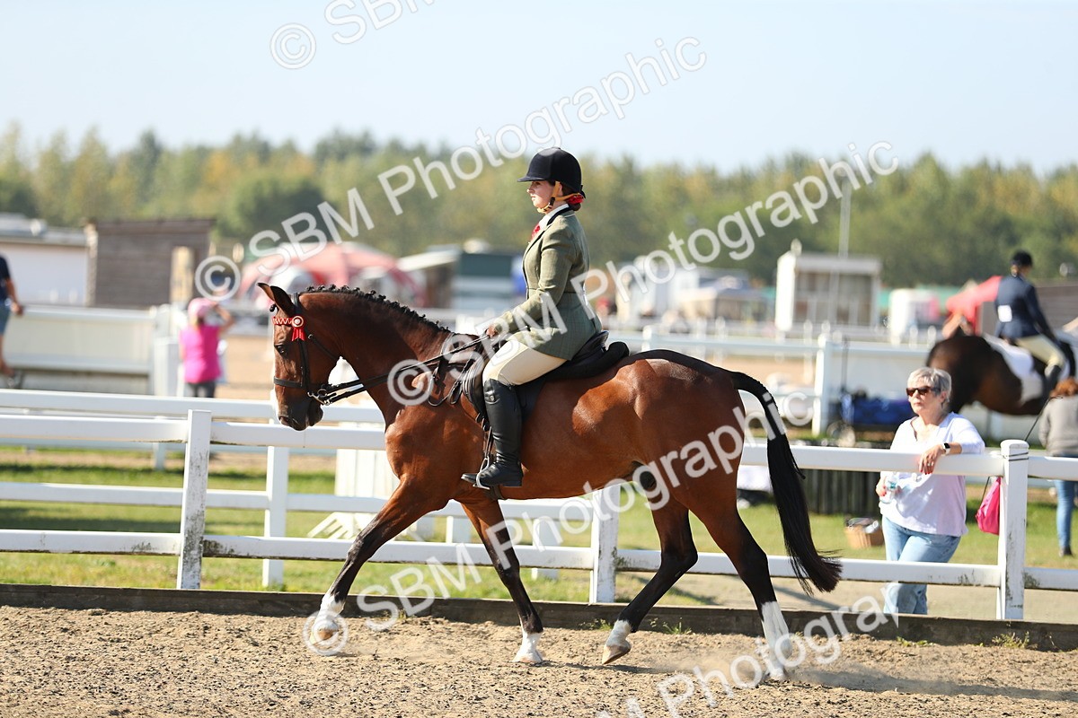 SBM_01212 - Class 42 Ridden Veteran