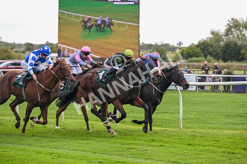 171026-Race 4-Woodstock-5728 - Race 4 2.45pm William Hill Best Odds Guaranteed Veterans' Handicap