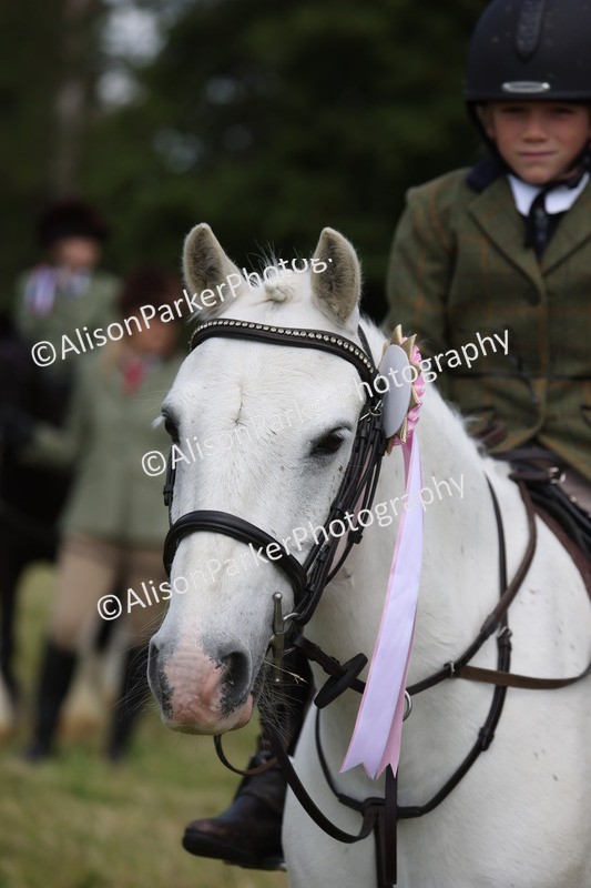 20260614-0838 - Class 20 - Beginners Working Hunter Pony