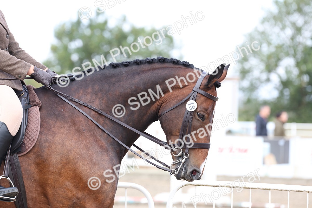 SBM_01458 - Class 52 - Ridden Veteran