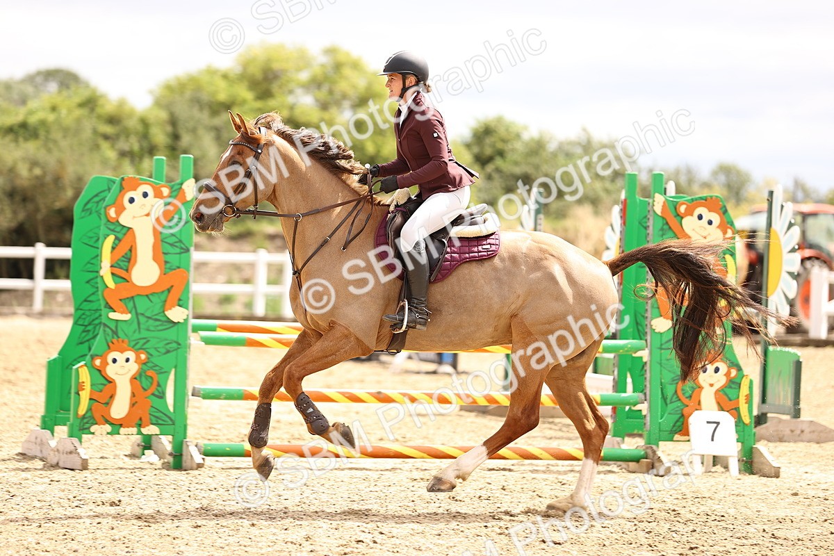 SBM_000350 - Class 3 - Senior British Novice - 90cm