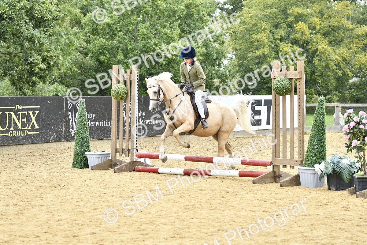 SBM_65399 - J2a mini Tour Junior Pony 30cm Championship