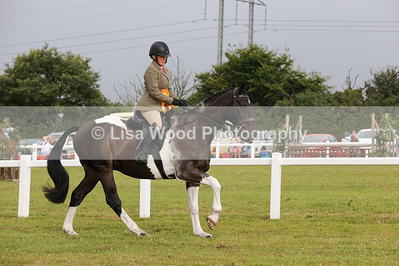 1X9A2965 - Class 25: Ridden Plaited Coloured Horse