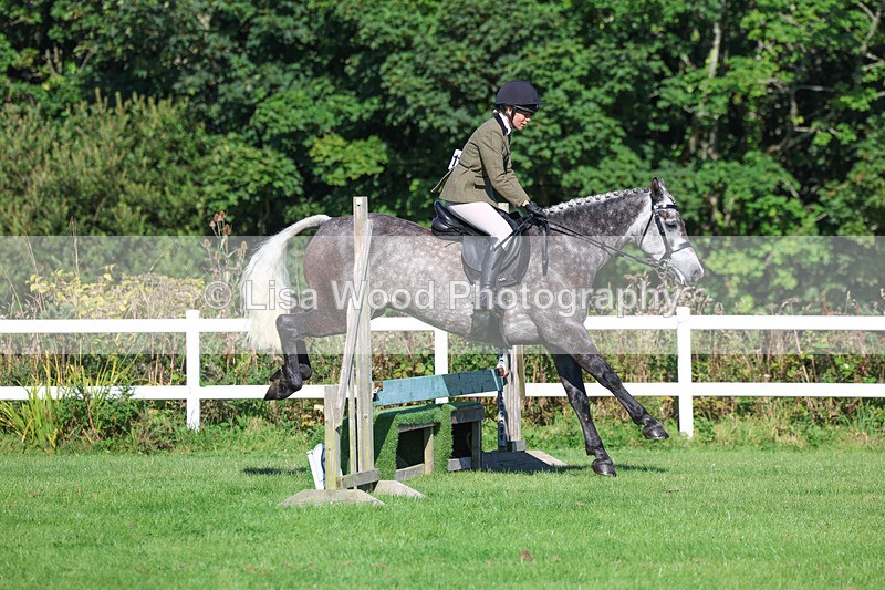3E7A7768 - Class 2: Open Working Hunter pony