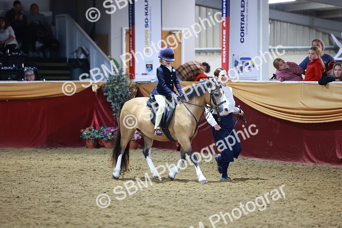 SBM_15707 - Class T - Working Veteran Champ