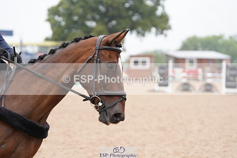 240901A-095504-05494 - 455-Bel.Wright-KING.BILL