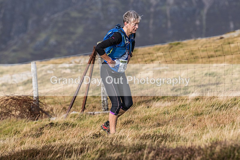 Buttermere-498 - Buttermere Shepherds Meet Fell Race Sunday 27th October 2024