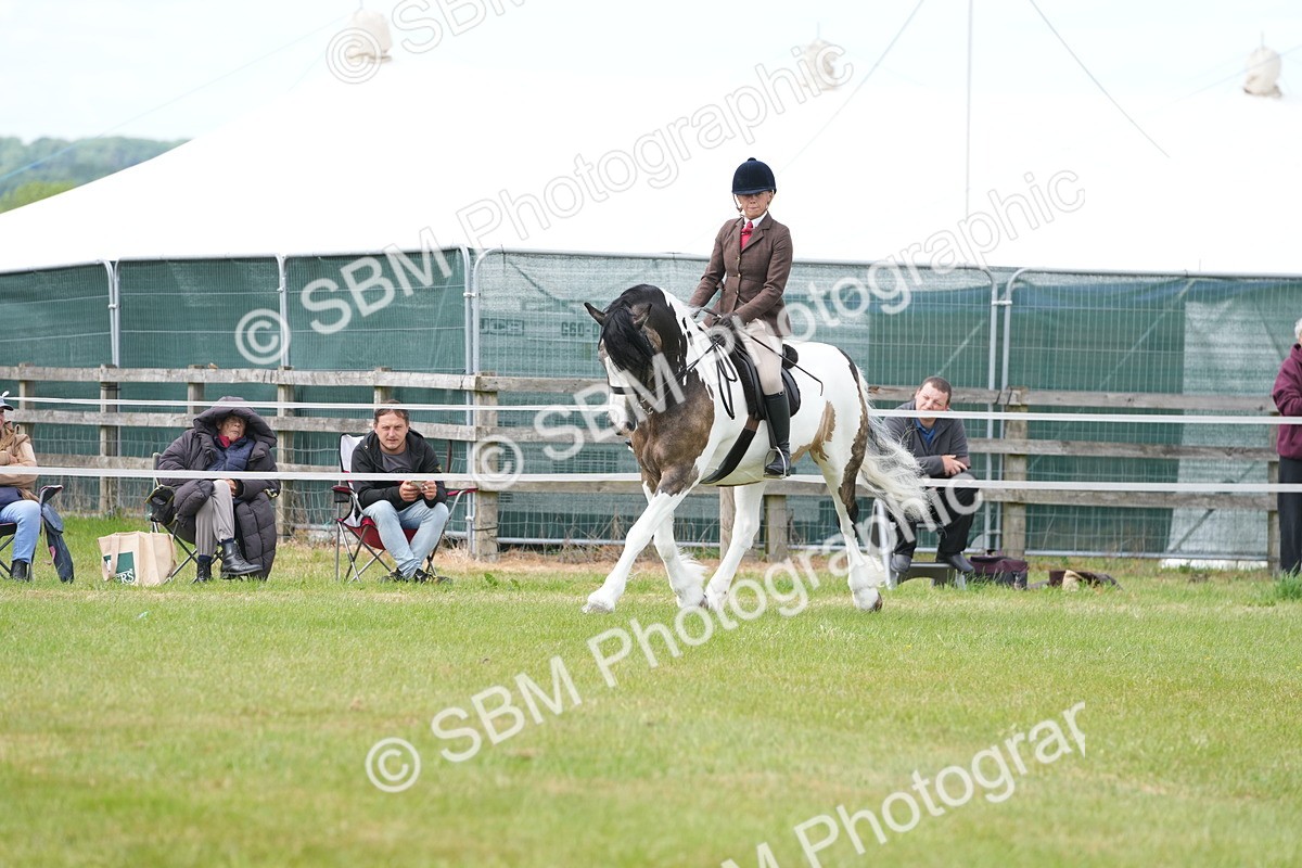 SBM_17227 - Class 107-108 - LIHS BSPS Performance Coloured Horse Pony