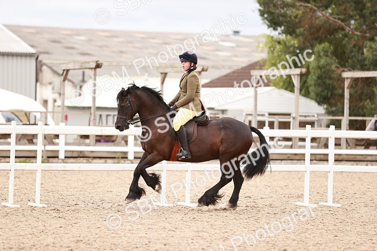 SBM_18991 - Class 422 - Ridden M&M