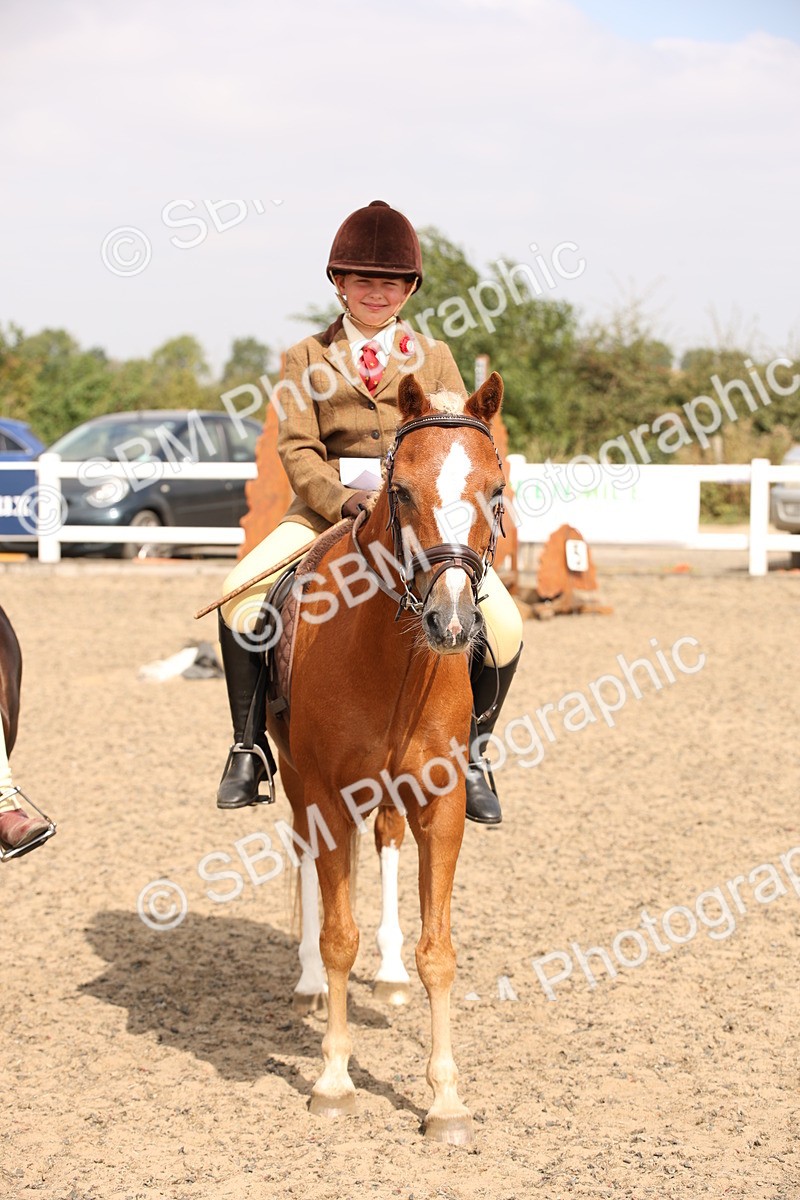 SBM_12637 - Class 405b - M&M Working Veteran 50cm 20+