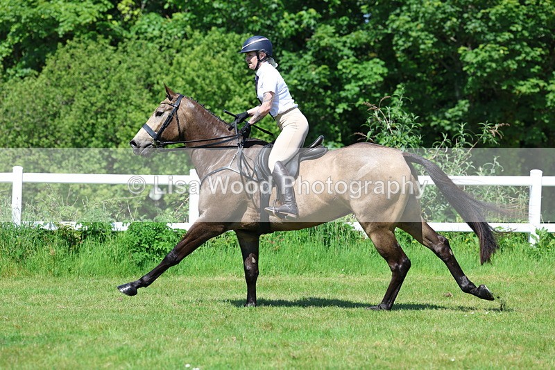 3E7A6948 - Class 30: Novice Working Hunter