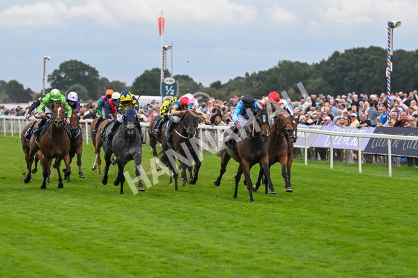220825-Race 4-Asfoora-7504 - Race 4 3.35pm Coolmore Wootton Bassett Nunthorpe Stakes
