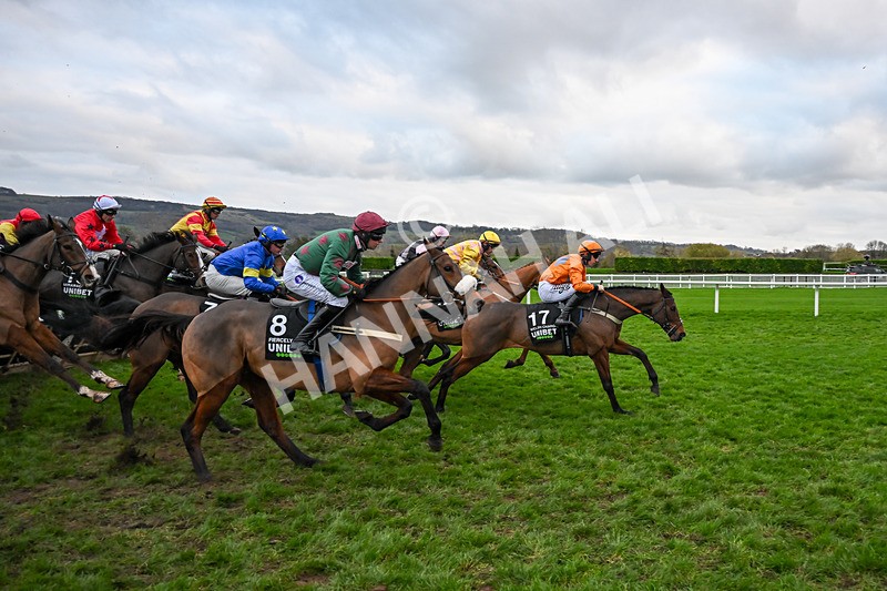 161125-Race 5-Welsh Charger-6346 - Race 5