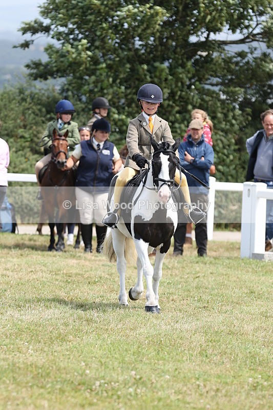 JPP_1792 - Class 18: Tiny Tots Working Hunter Pony