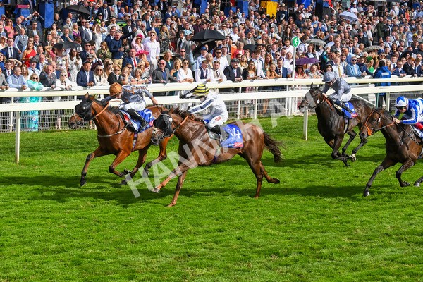 260823-Race 5-Summerghand-Albasheer-0770 - Race 5 Sky Bet Constantine Handicap