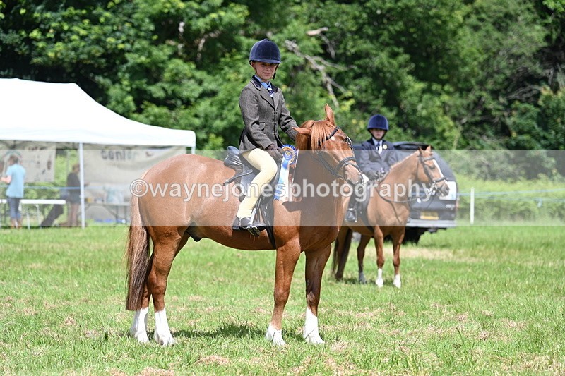 WJ7_1793 - Class 9 Pony Club Pony