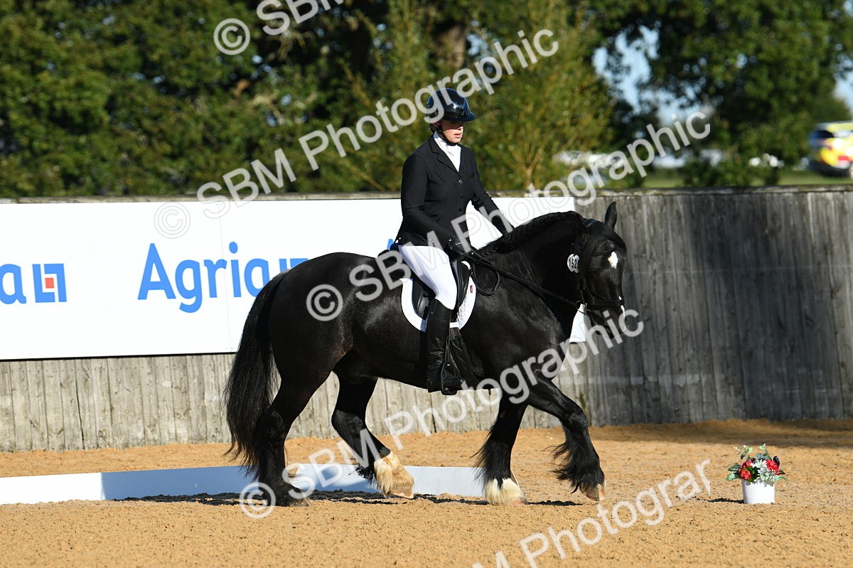 SBM_14515 - D4 - Small Tour Championship - Intro B