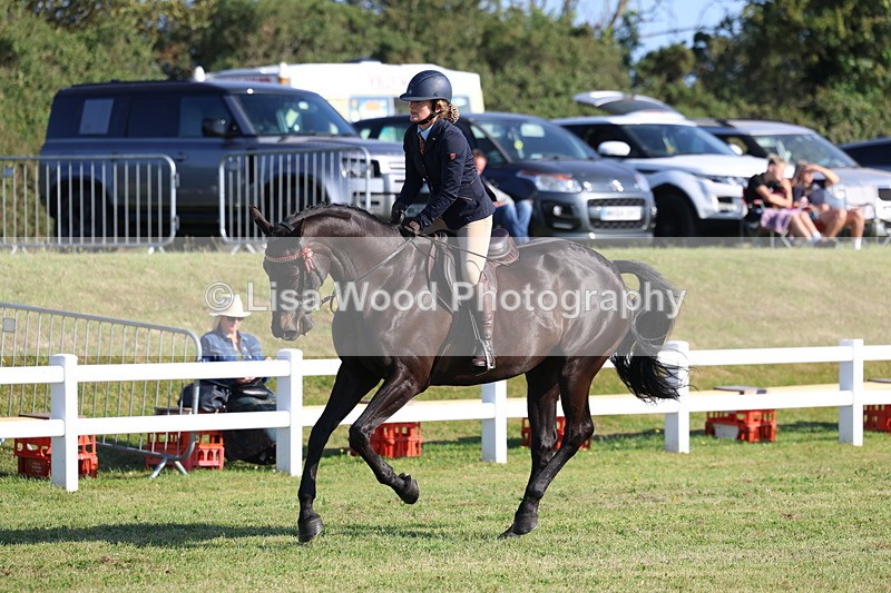 3E7A5393 - Class 2: Rising Star Large Hack/Riding Horse