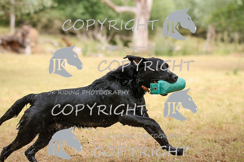 2R6A3490 - ​TEAM A: BORDER COUNTIES & COTSWOLDS 1-2-3