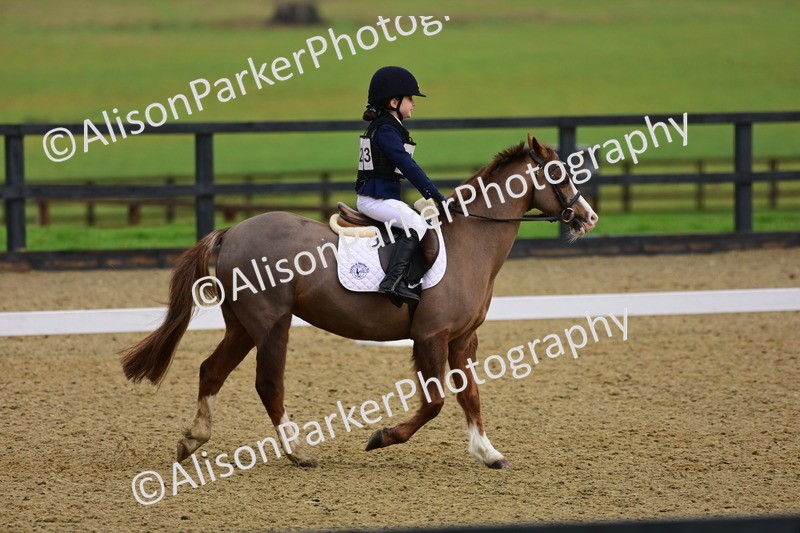 20260125-0661 - Class 9b - Walk Trot Unassisted