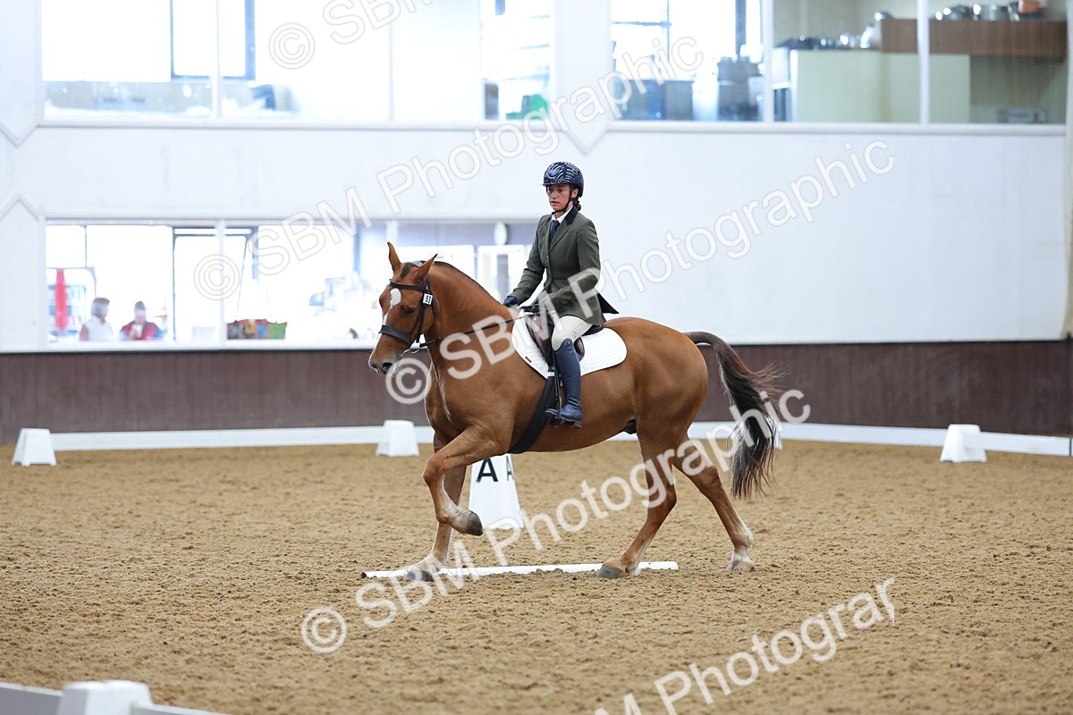 SBM_001951 - Class 5 - Novice 3
