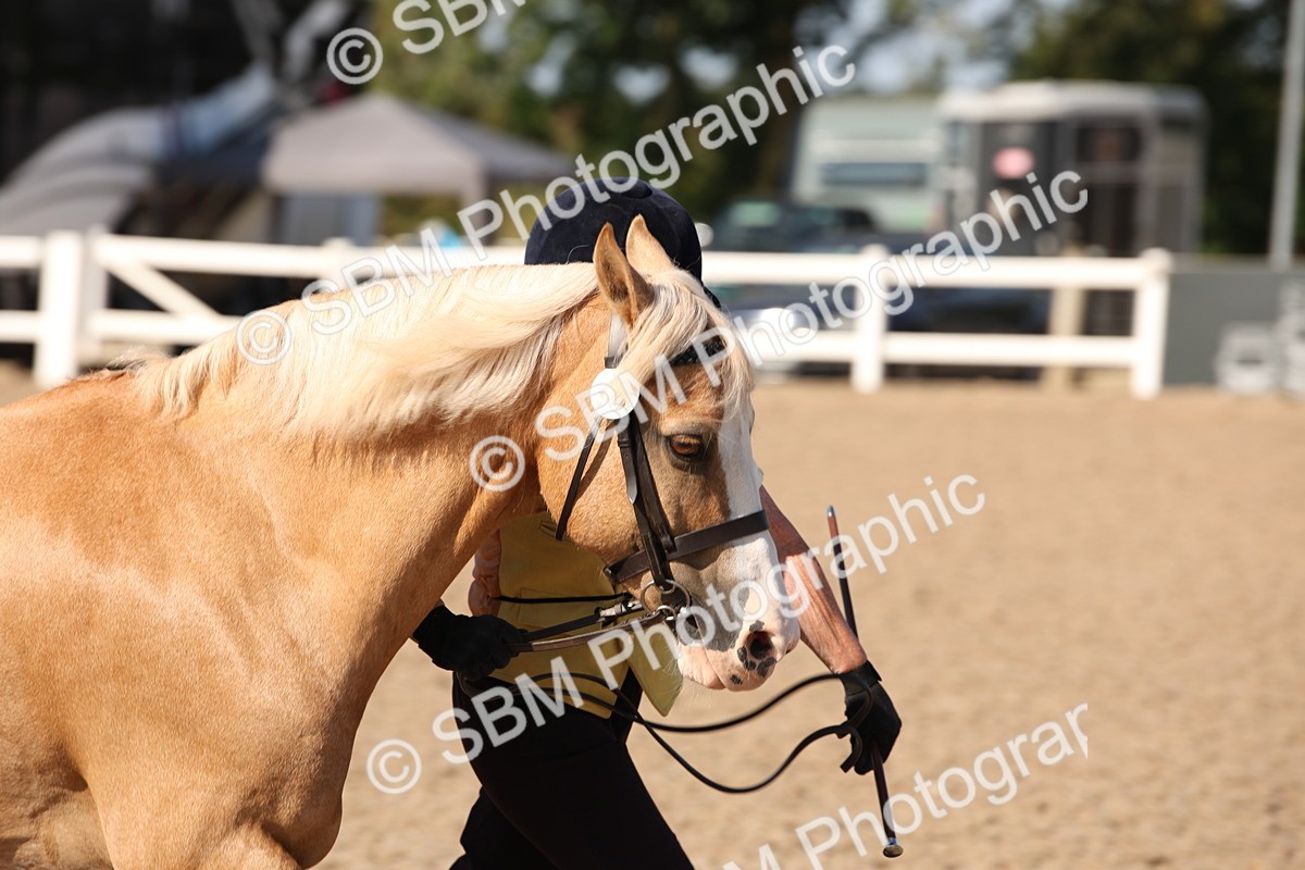 SBM_02785 - Class 16 IH M&M Wildcard