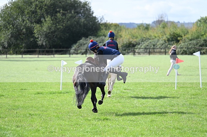 WJ7_8519 - 60cm Pairs