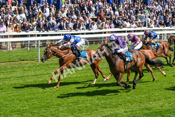 160525-Race 2-Thunder Run-6248 - Race 2 2.42pm Knights Solicitors Handicap