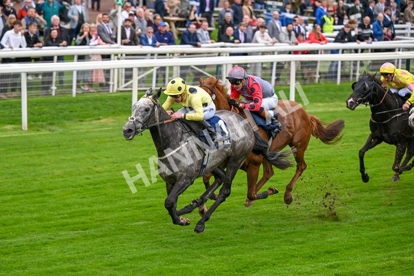 101025-Race 1-Ice Max-6202 - Race 1 William Hill Autumn Mile Handicap at York