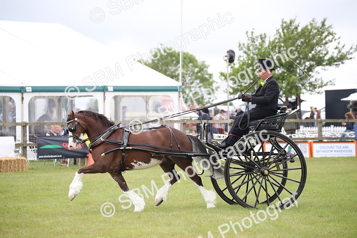 SBM_05849 - Class 12-15 - HOYS Private Driving