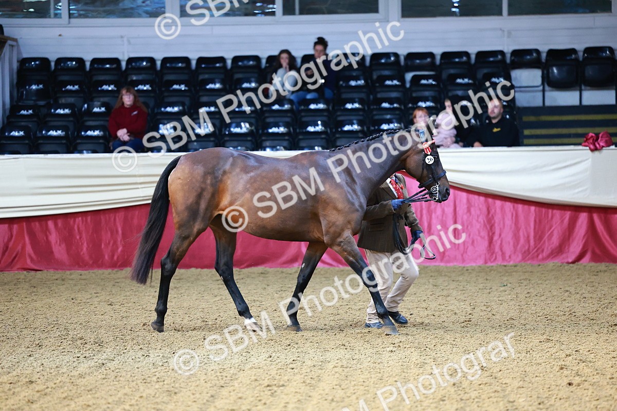 SBM_21773 - Class 901 - Supreme Final - IH  Diamond