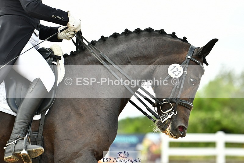 230702A-155150-11033 - Cls 37 + 42 FEI PSG + GP