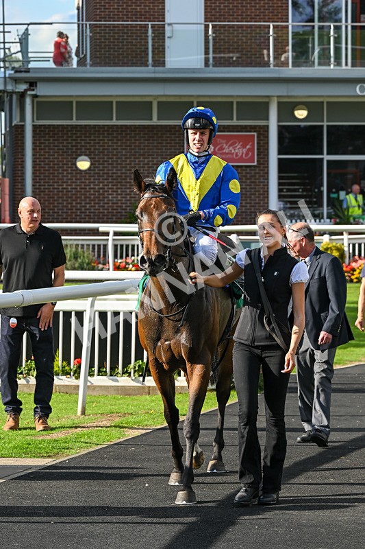 140926-Race 5-Mo Anam Chara-7582 - Race 5 4.21pm decronhorsecare.co.uk Handicap