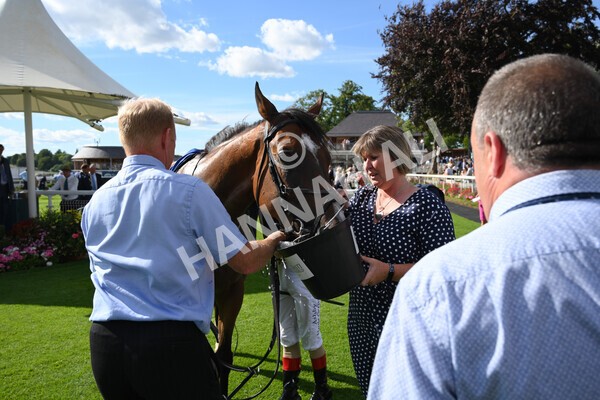 yr09072022r7-39 - Race 7 5.15pm John Smith's Sprint Stakes