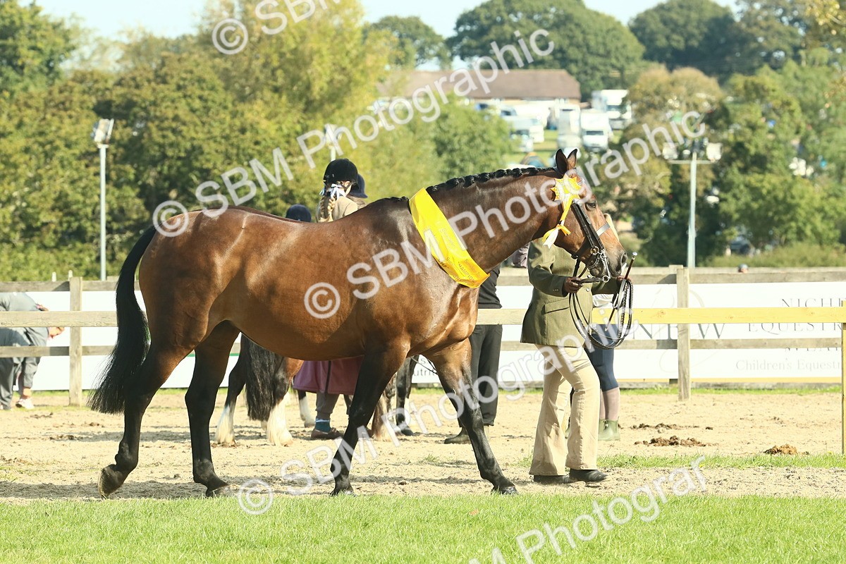 SBM_61077 - Starter Supreme Championship