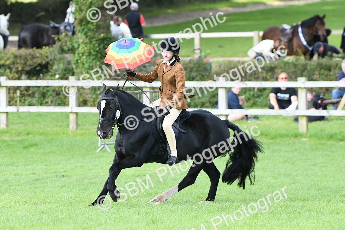 SBM_47073 - S12 - Family Horse & Pony