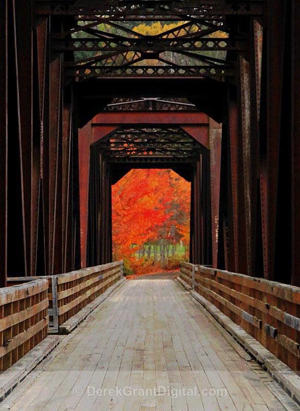 A walk into Autumn - New Brunswick Canada - Autumn Foliage