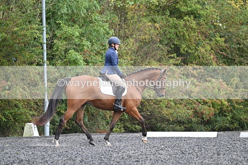 WJ7_4313 - Time 11:43 to 12:09