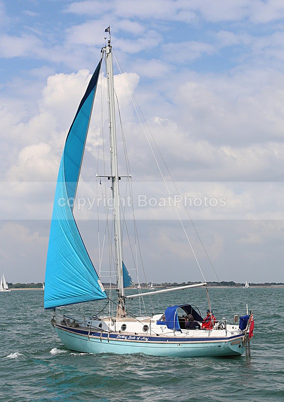 140614 DARLING BUDS OF MAY WT7A0341 - Sailboats - monohull