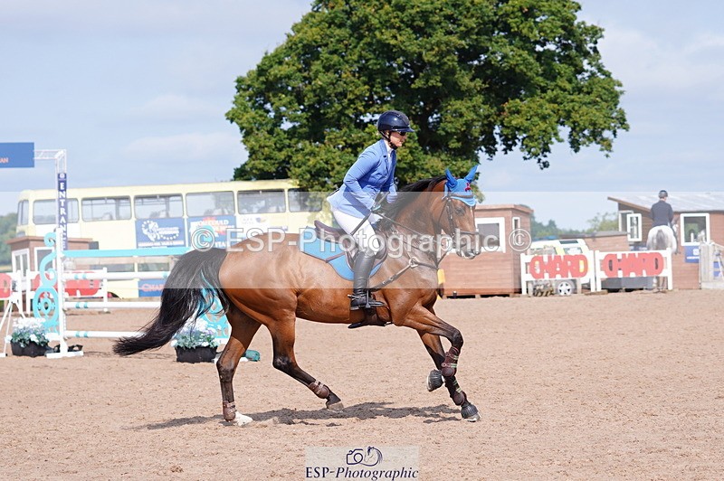 240802A-100042-03477 - Cls 15 Foxhunter