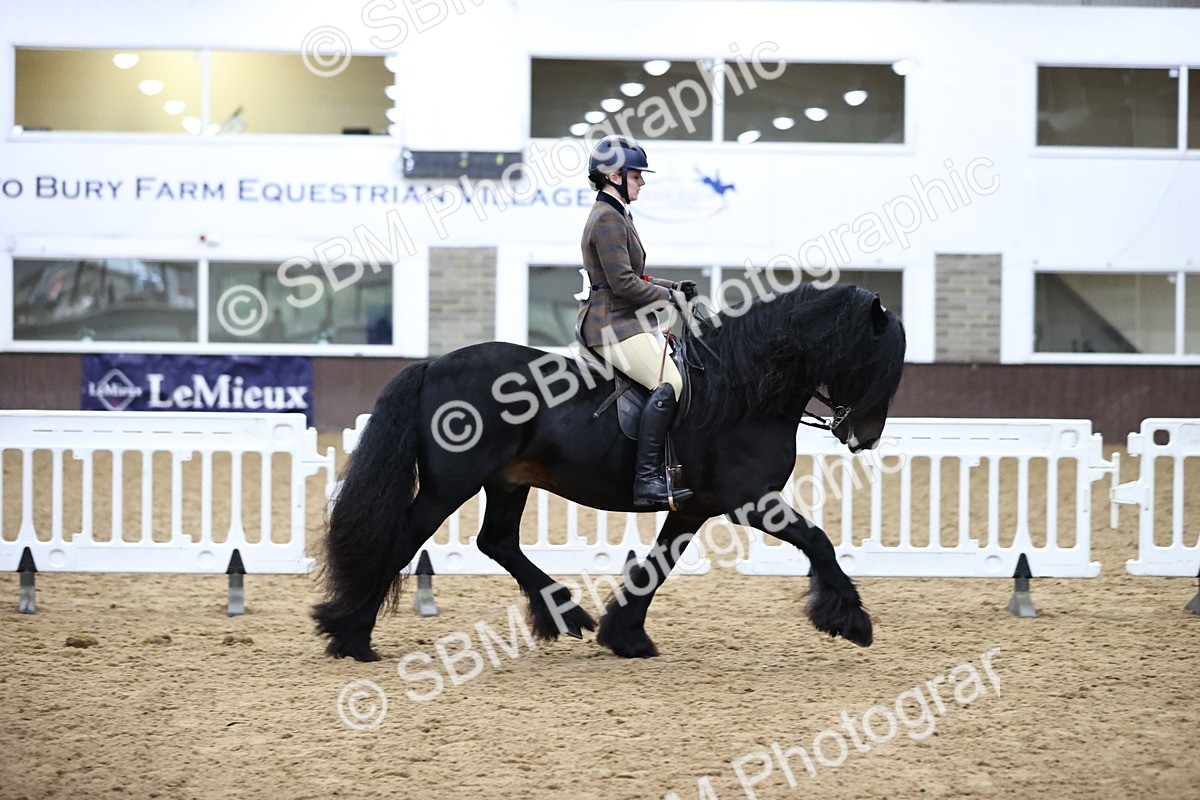 SBM_6564 - Class 43 - Ridden Native Breeds