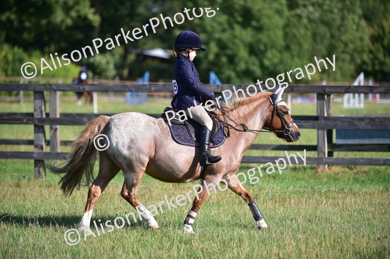 20260906-0485 - Class 6 - Minimus Jumping