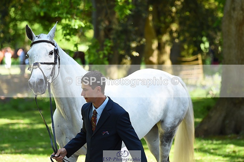 230524-151454-00159 - 314-CHANTILLY_AMATULLAH-Gaspard_Maksud-WEDTrotUp+DR