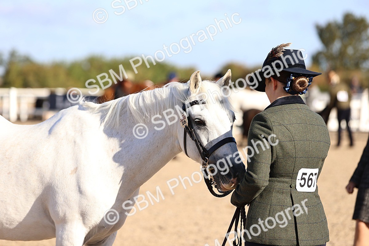 SBM_08491 - Class 402 - IH Veteran Pony
