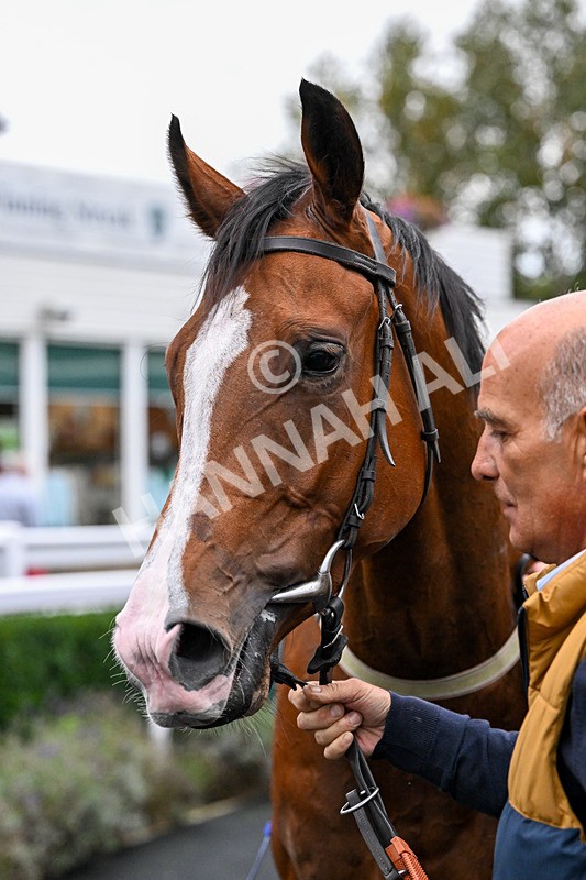 011025-Race 7-Lightning Tiger-0848 - Race 7