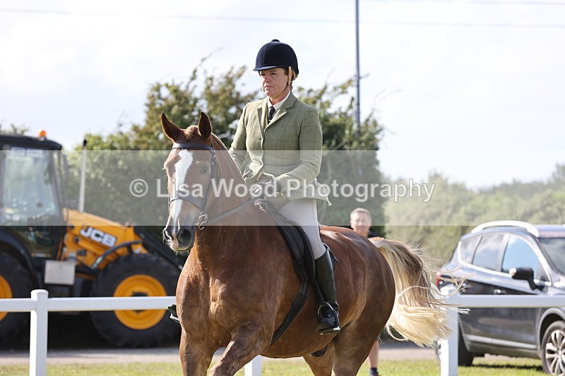 JPP_3009 - Class 20: Working Hunter 70cm